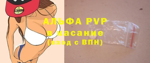 сатива Армянск