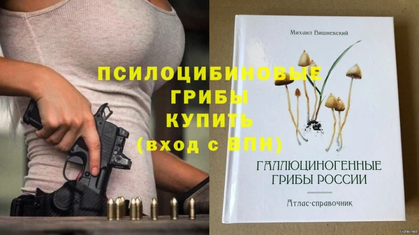 а пвп мука Богданович