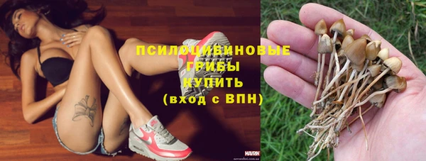 бошки Богородицк