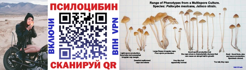 Галлюциногенные грибы GOLDEN TEACHER  сколько стоит  Семилуки 